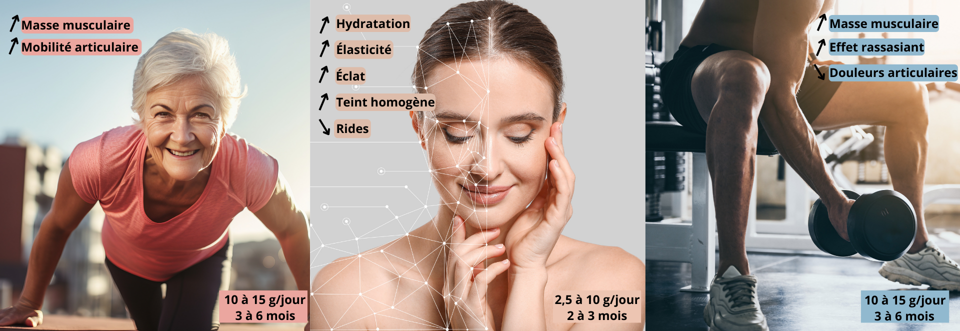 les bienfaits du collagène marin qualité Naticol®